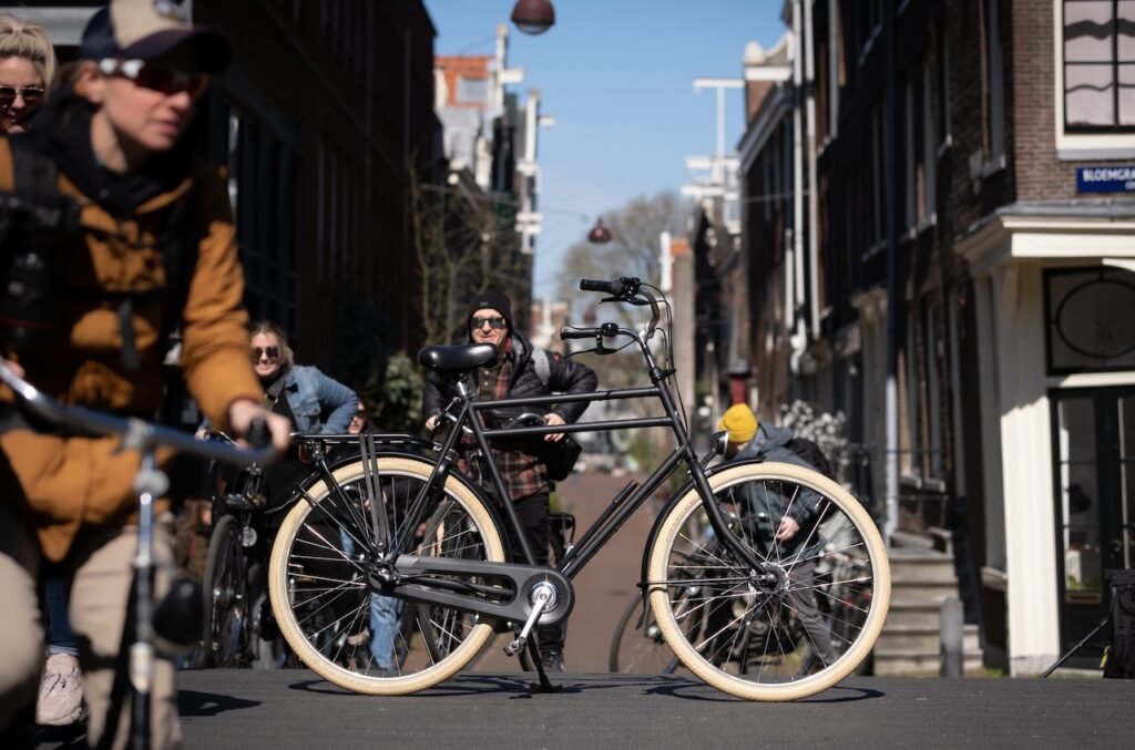 City Bike Grande > 185cm