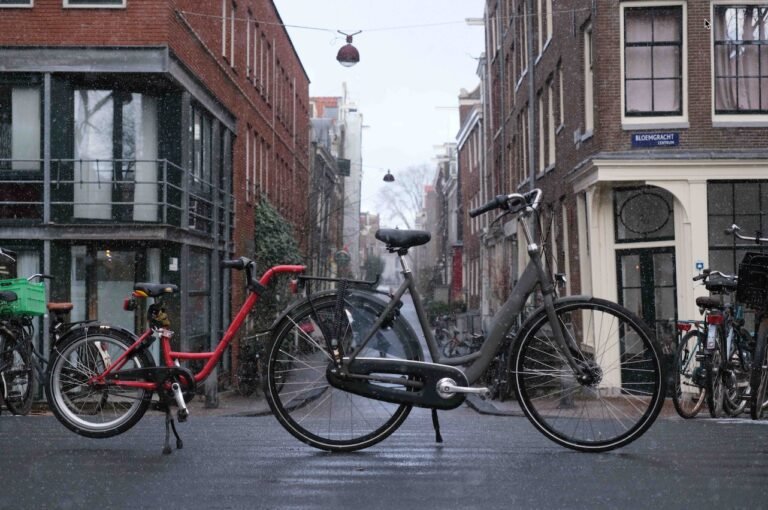 Tag along bike